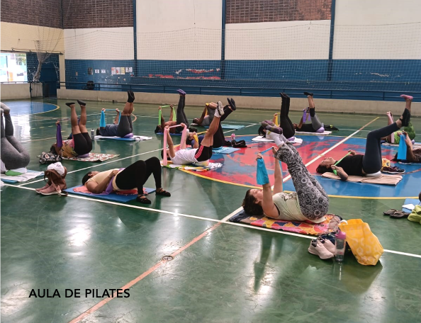 AIDEAL_aideal.org.br_PELC31